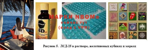 ПСИЛОЦИБИНОВЫЕ ГРИБЫ Алексин