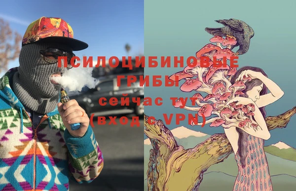 таблы Алзамай