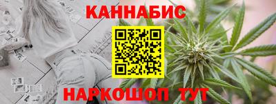 СК Бийск