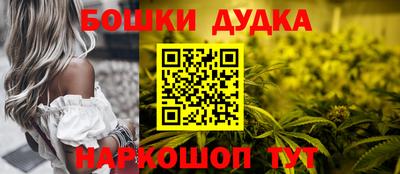 СК Бийск