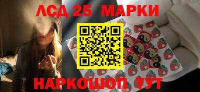 СК Бийск