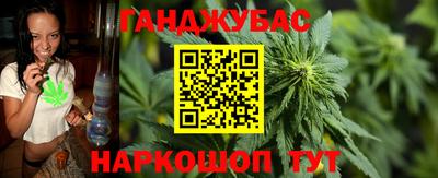 СК Бийск