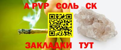 СК Бийск