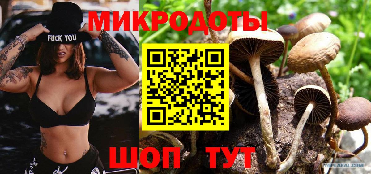 цена   Вход с VPN  Белебей  Галлюциногенные грибы Magic Shrooms 