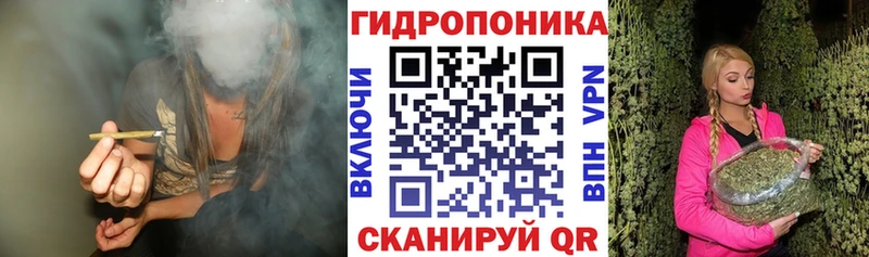 Бошки Шишки индика  где продают   Белебей 